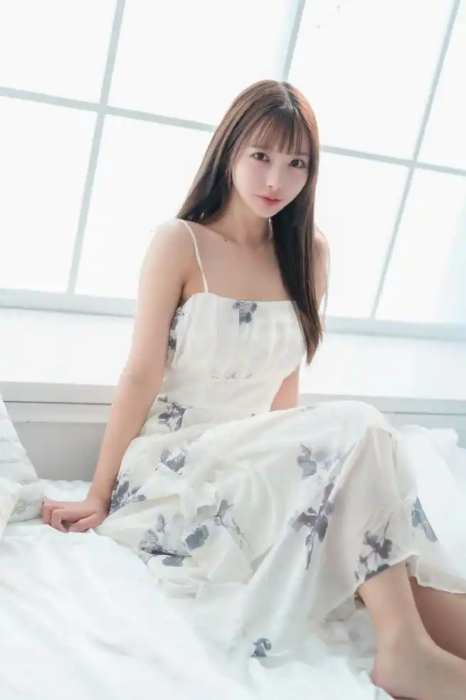 总裁的临时女友封面